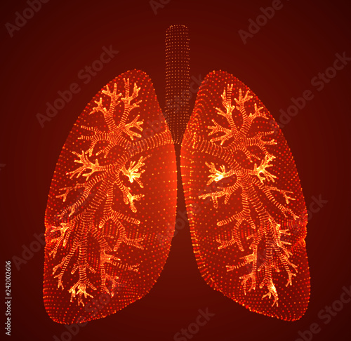vector lungs and bronchi. vector design. point and dot style