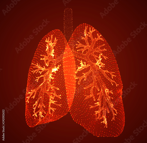 vector lungs and bronchi. vector design. point and dot style