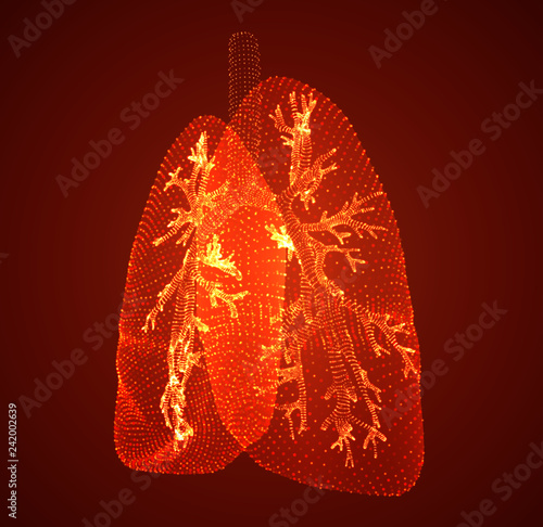 vector lungs and bronchi. vector design. point and dot style