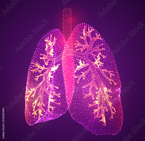 vector lungs and bronchi. vector design. point and dot style