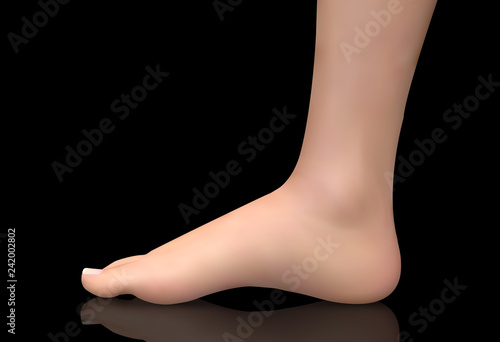 3d illustration,vector foot volume, health and shoe selection