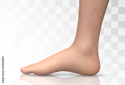 3d illustration,vector foot volume, health and shoe selection