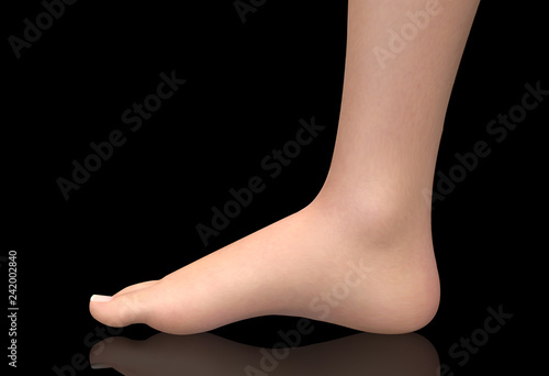 3d illustration,vector foot volume, health and shoe selection