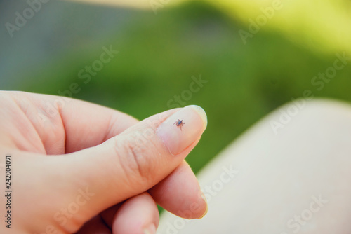 Tick crawling on finger. The concept of danger of tick bite.