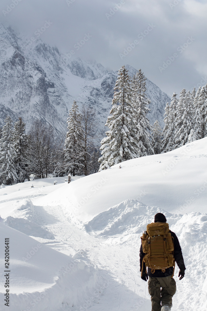 Man hiking in snowbound mountains towards forest