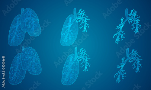 vector set. lungs and bronchi. 3d elements for design