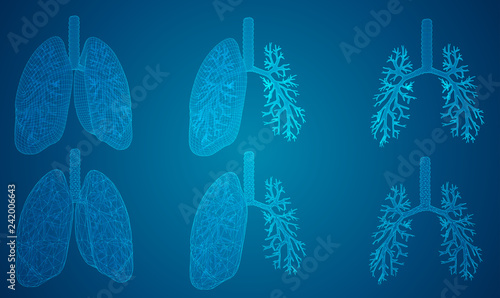 vector set. lungs and bronchi. 3d elements for design