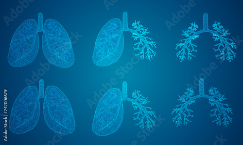 vector set. lungs and bronchi. 3d elements for design