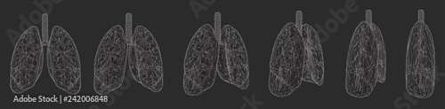 vector set. lungs and bronchi. 3d elements for design