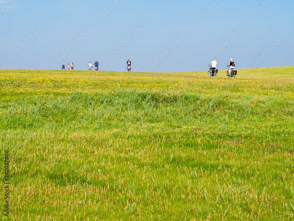 Bicyclists riding bikes on dike with grass field on a sunny day, Schiermonnikoog, Netherlands Bicyclists riding bikes on dike with grass field on a sunny day, Schiermonnikoog, Netherlands