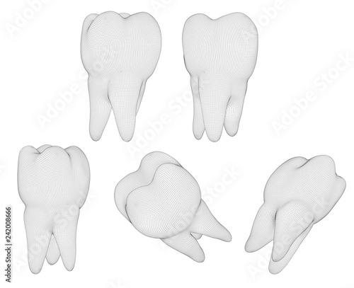vector set of 3d teeth for dental medicine. isolated on white