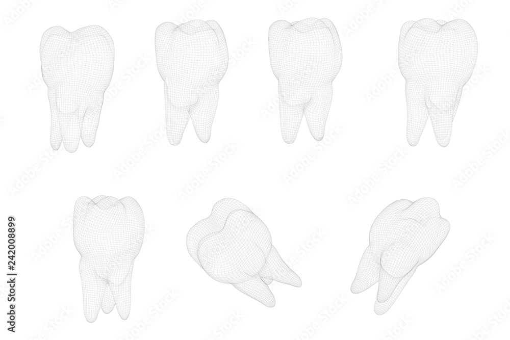 vector set of 3d teeth for dental medicine. isolated on white vector set of 3d teeth for dental medicine. isolated on white