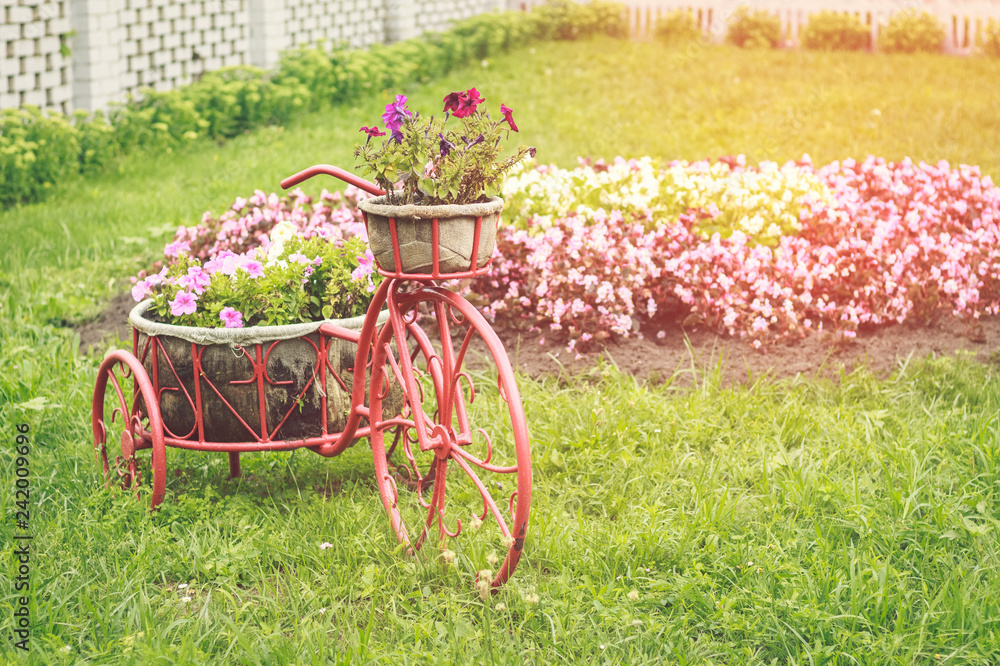 Garden with a bicycle flowerbed and flowers in a basket