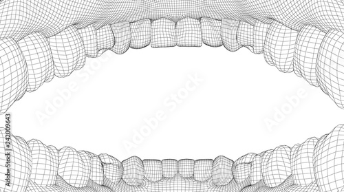 human jaw. 3d vector layout. medicine and health