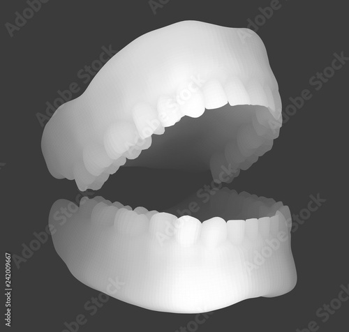 human jaw. 3d vector layout. medicine and health