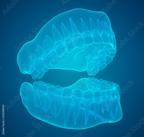 human jaw. 3d vector layout. medicine and health
