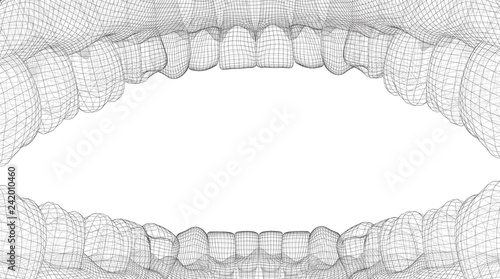 human jaw. 3d vector layout. medicine and health