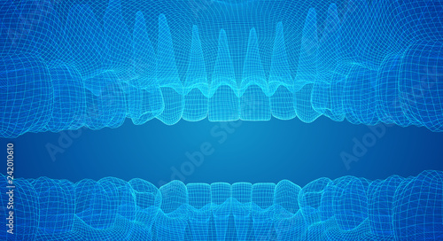 human jaw. 3d vector layout. medicine and health