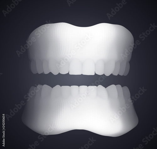 human jaw. 3d vector layout. medicine and health