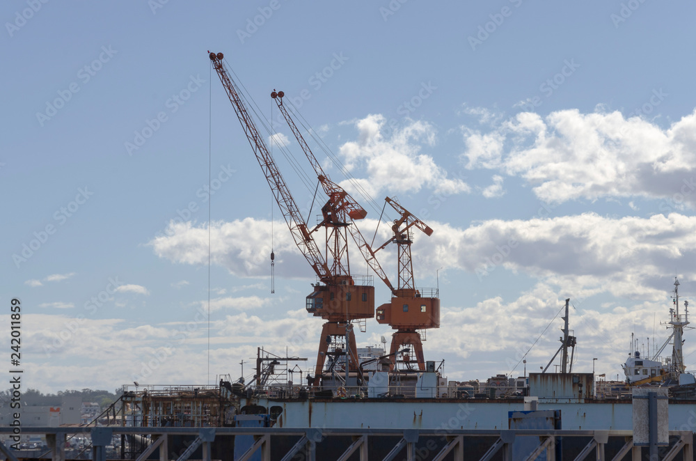cranes in dry dock in the seaport