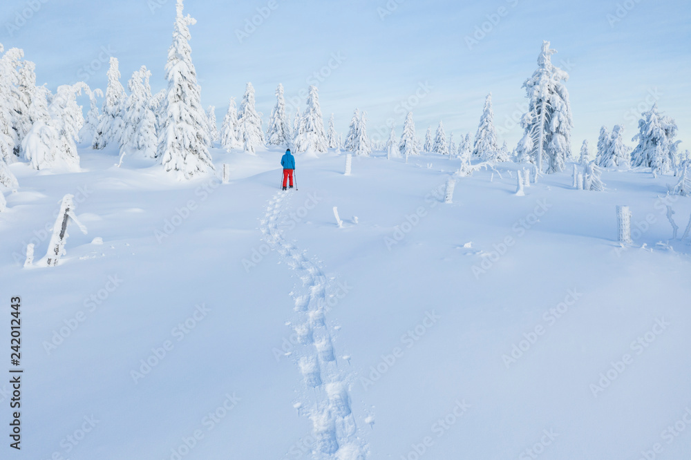 Fototapeta premium Aerial view of snowshoes walker in snowy forest