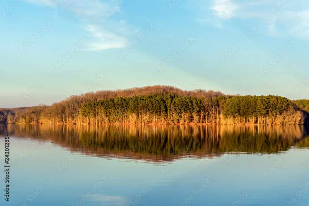 autumn forest on the shore of the blue lake