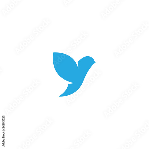 Bird logo vector design template