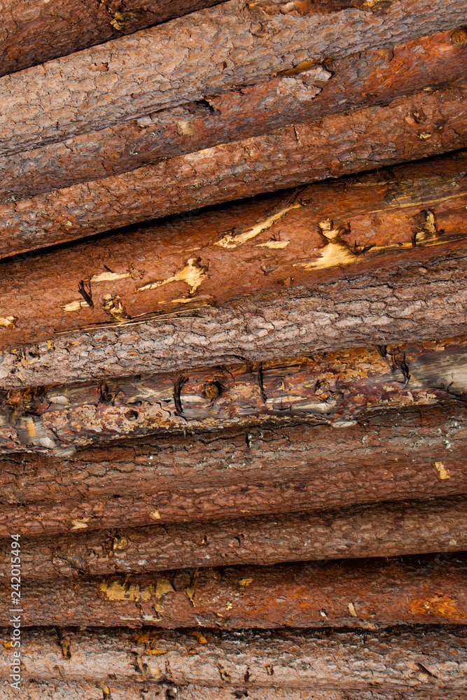 Logs are piled up, the timber industry Logs are piled up, the timber industry