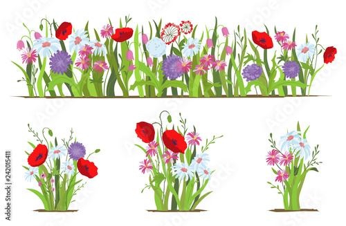 Flowerbed. Set of wild forest and garden flowers. Spring concept. Flat vector flower illustration isolate on a white background.