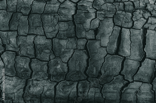 Background, black charred timber, coal after fire, abstract and in cracks of charcoal.