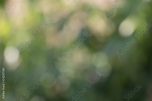 Bokeh of Tree Leaves for nature background and save green concept,soft and blur out of focus, made with gradient and filter colored.