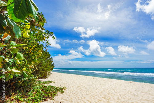 Fototapeta Naklejka Na Ścianę i Meble -  Lonely Beach on the seychelles