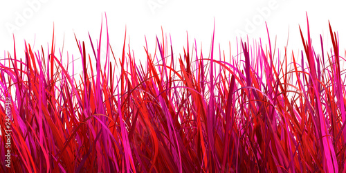 red grass isolated on white background, 3d illustration