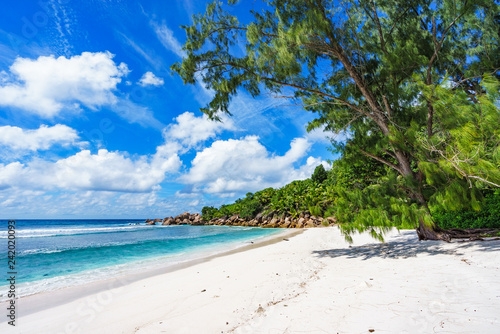 Fototapeta Naklejka Na Ścianę i Meble -  paradise beach on the seychelles, anse cocos, la digue 1