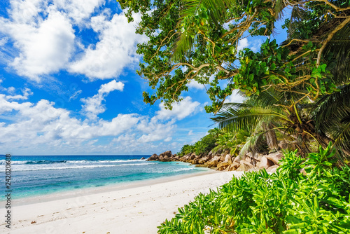 paradise beach on the seychelles  anse cocos  la digue 15