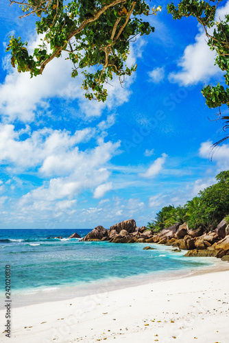 Fototapeta Naklejka Na Ścianę i Meble -  paradise beach on the seychelles, anse cocos, la digue 18