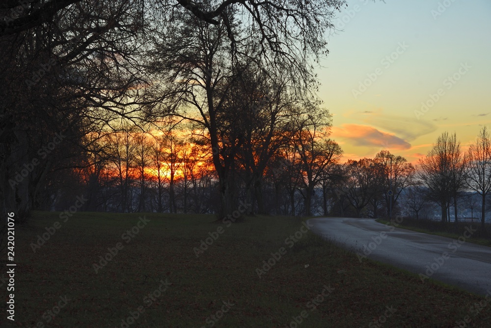 sonnenuntergang, landschaft, natur, farbe, bunt, silhouetten, baum, strauch, straße, asphalt herbst, fall, giengen/brenz, schwäbische alb, abend, deutschland, europa, licht, schatten, wiese, wolke, hi sonnenuntergang, landschaft, natur, farbe, bunt, silhouetten, baum, strauch, straße, asphalt herbst, fall, giengen/brenz, schwäbische alb, abend, deutschland, europa, licht, schatten, wiese, wolke, hi