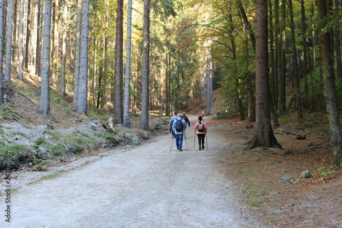 Czech Republic, 2018: People go walking in the woods/ Чехия, 2018: Люди занимаются спортивной ходьбой в лесу