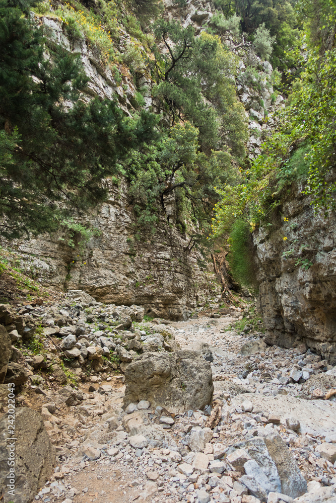 Trekking on a winding path through Imbros gorge near Chora Sfakion, island of Crete, Greece Trekking on a winding path through Imbros gorge near Chora Sfakion, island of Crete, Greece