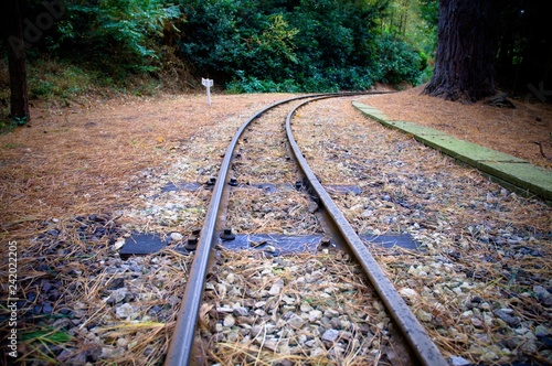 Train track, low perspective