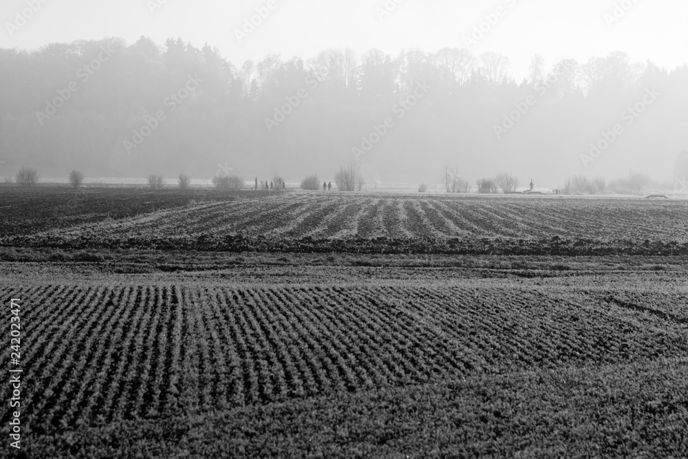 Obraz premium Vereiste Felder mit Personen und Nebel