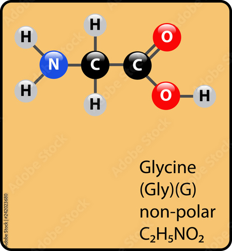 Glycine Amino Acid Molecule Ball and Stick Structure