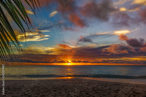 Fototapeta Naklejka Na Ścianę i Meble -  looking through palm leaf at sunset at anse georgette,praslin,seychelles 12