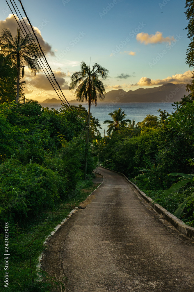 lonely road in the jungle, seychelles 2 lonely road in the jungle, seychelles 2