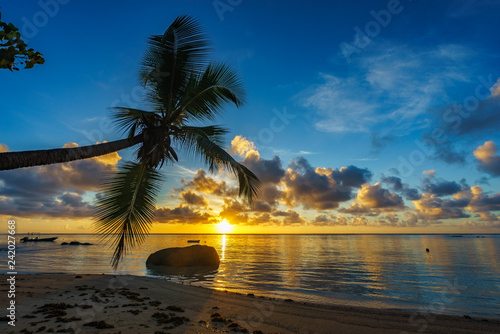 Fototapeta Naklejka Na Ścianę i Meble -  beautiful sunrise on paradise beach, seychelles 6
