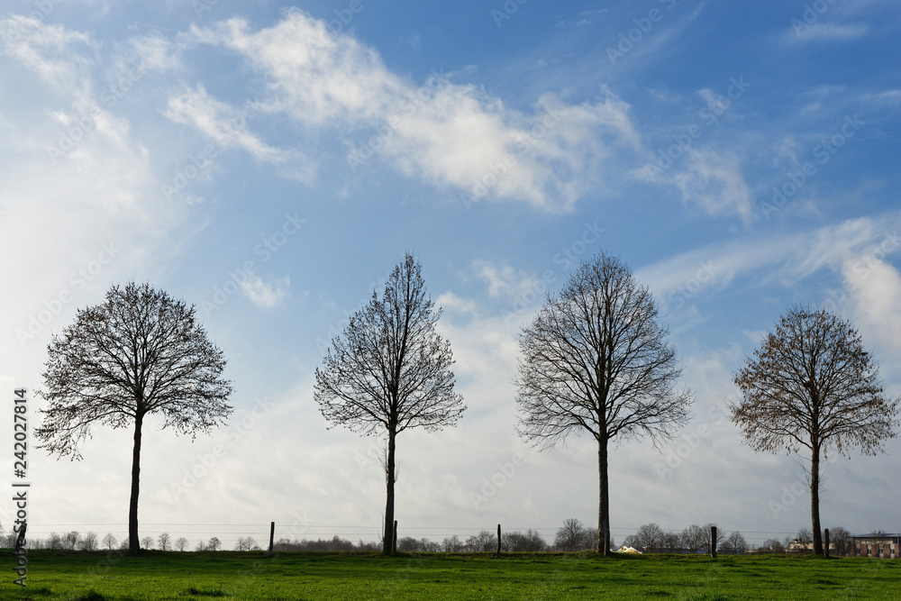Obraz premium am Niederrhein
