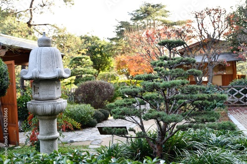 Fototapeta Naklejka Na Ścianę i Meble -  jardin japonais