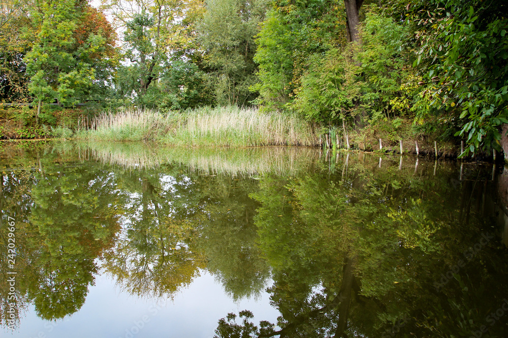 Teich im Sommer Teich im Sommer