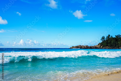 Fototapeta Naklejka Na Ścianę i Meble -  beautiful paradise beach at the police bay, seychelles 23