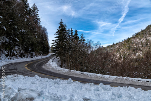 Canvas Print Snow covered trees and mountains